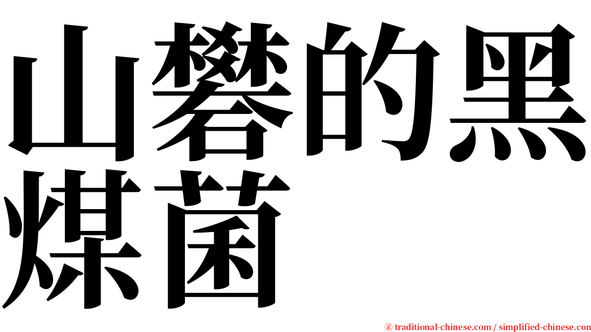山礬的黑煤菌 serif font
