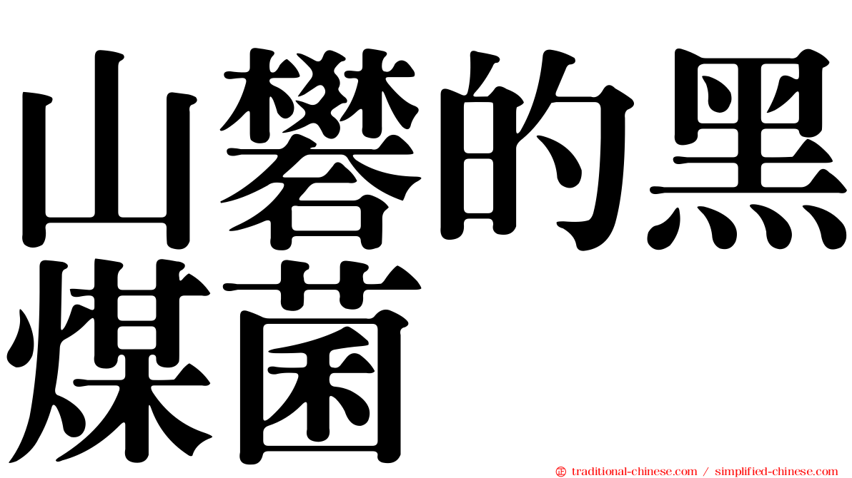山礬的黑煤菌