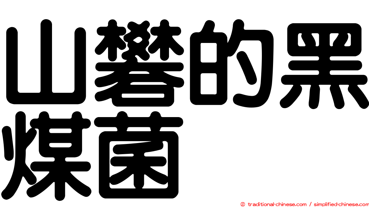 山礬的黑煤菌