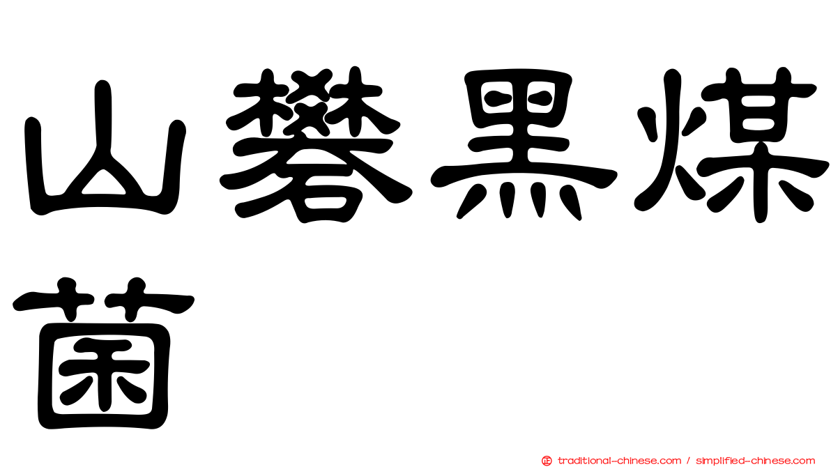 山礬黑煤菌