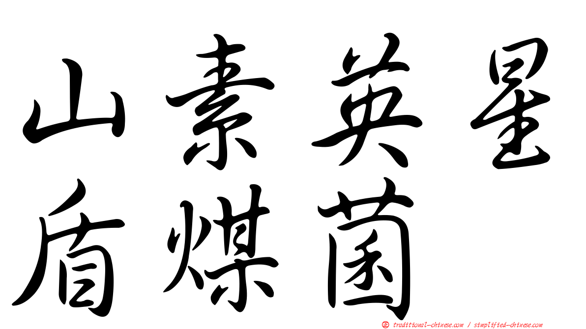 山素英星盾煤菌