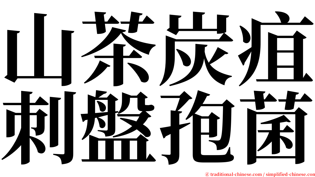 山茶炭疽刺盤孢菌 serif font