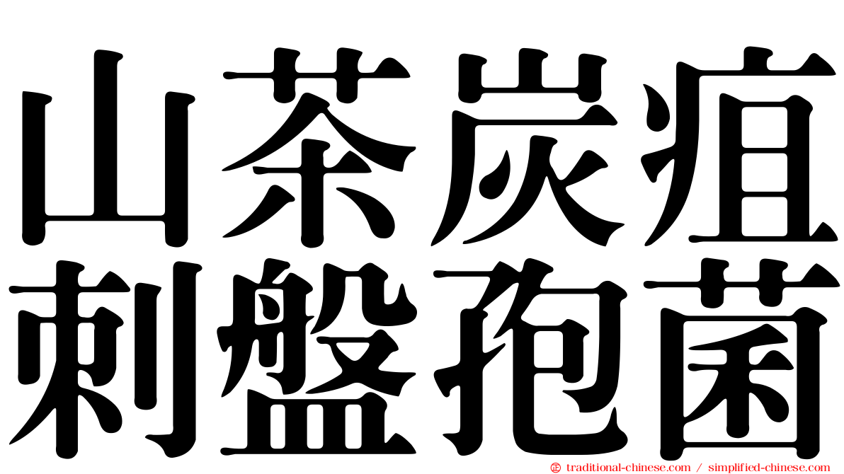 山茶炭疽刺盤孢菌