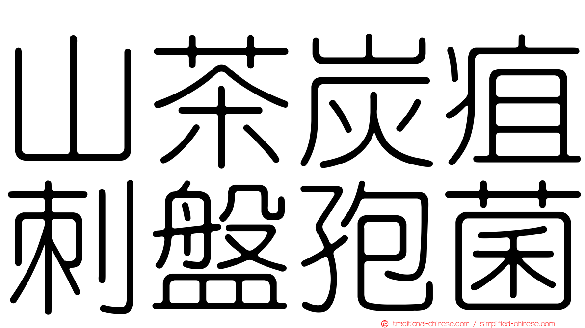 山茶炭疽刺盤孢菌