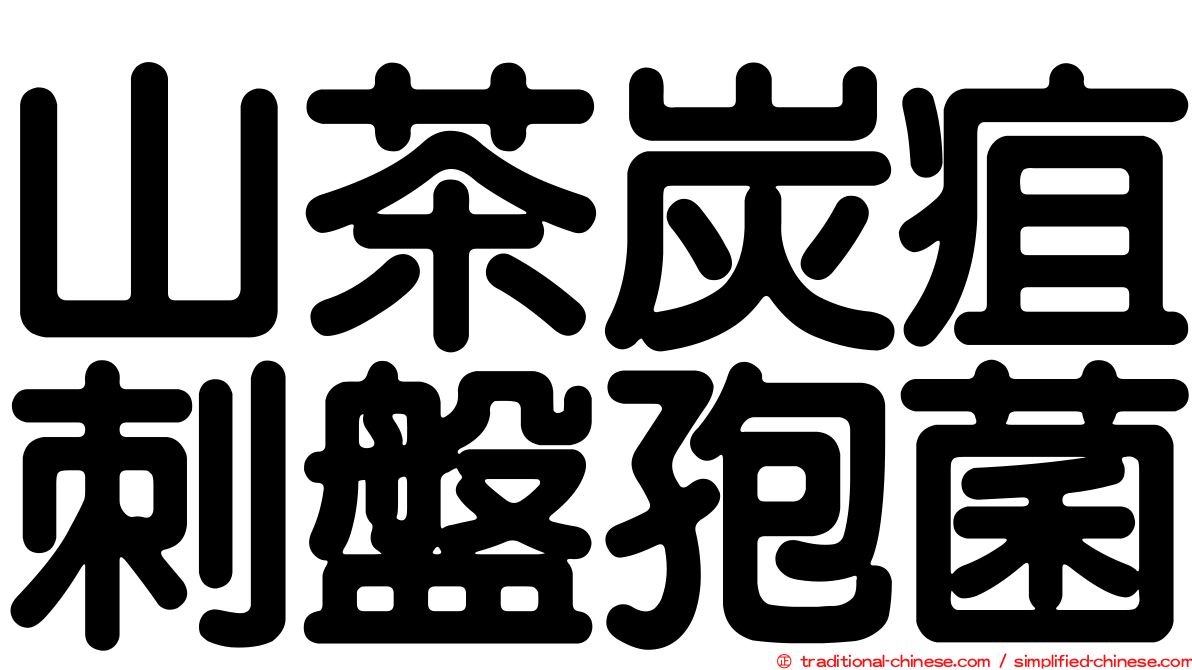 山茶炭疽刺盤孢菌
