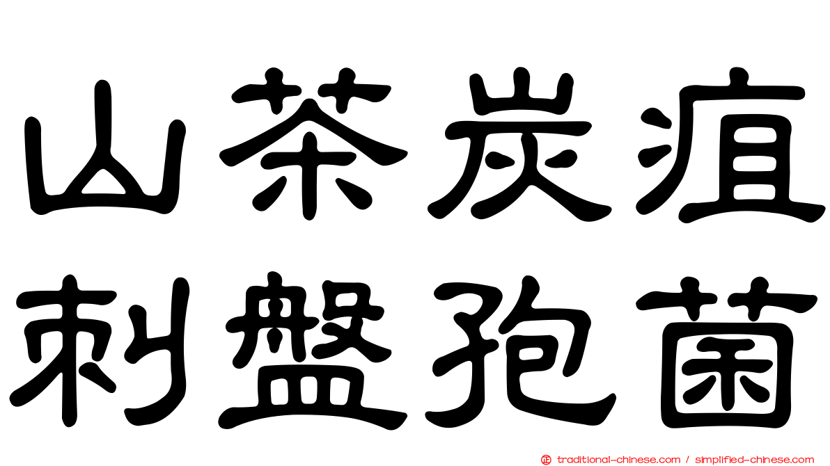 山茶炭疽刺盤孢菌