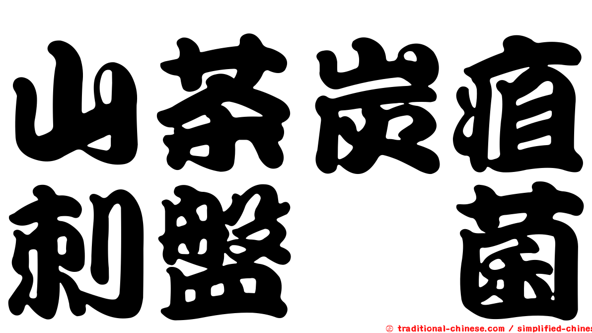 山茶炭疽刺盤孢菌