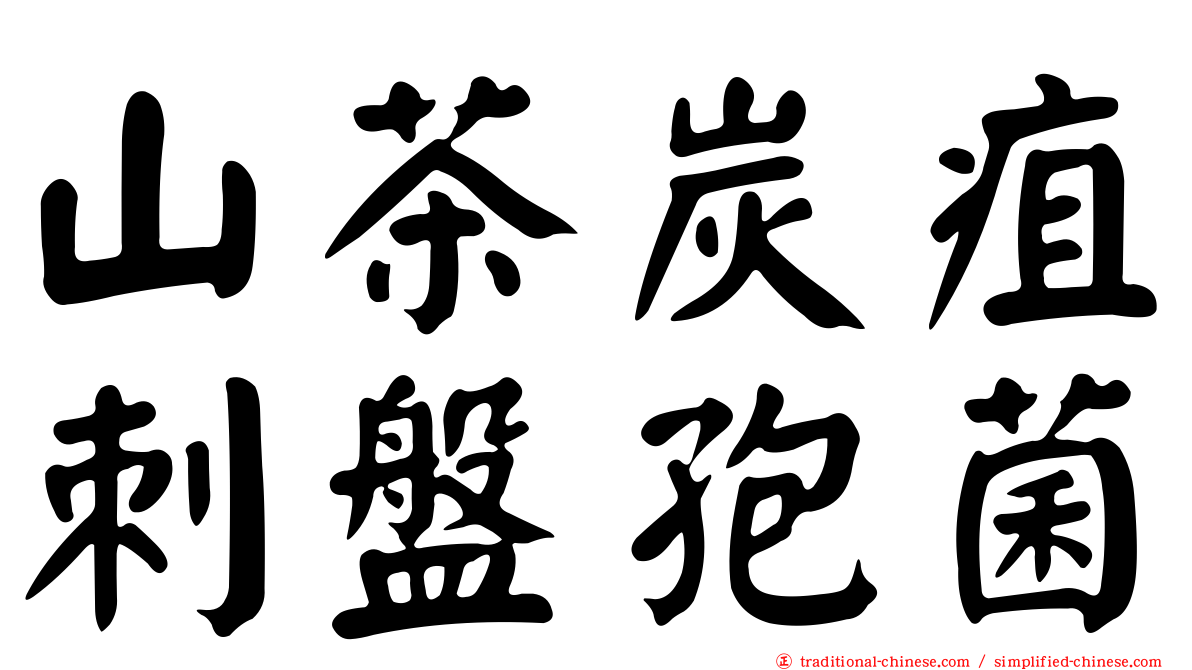 山茶炭疽刺盤孢菌