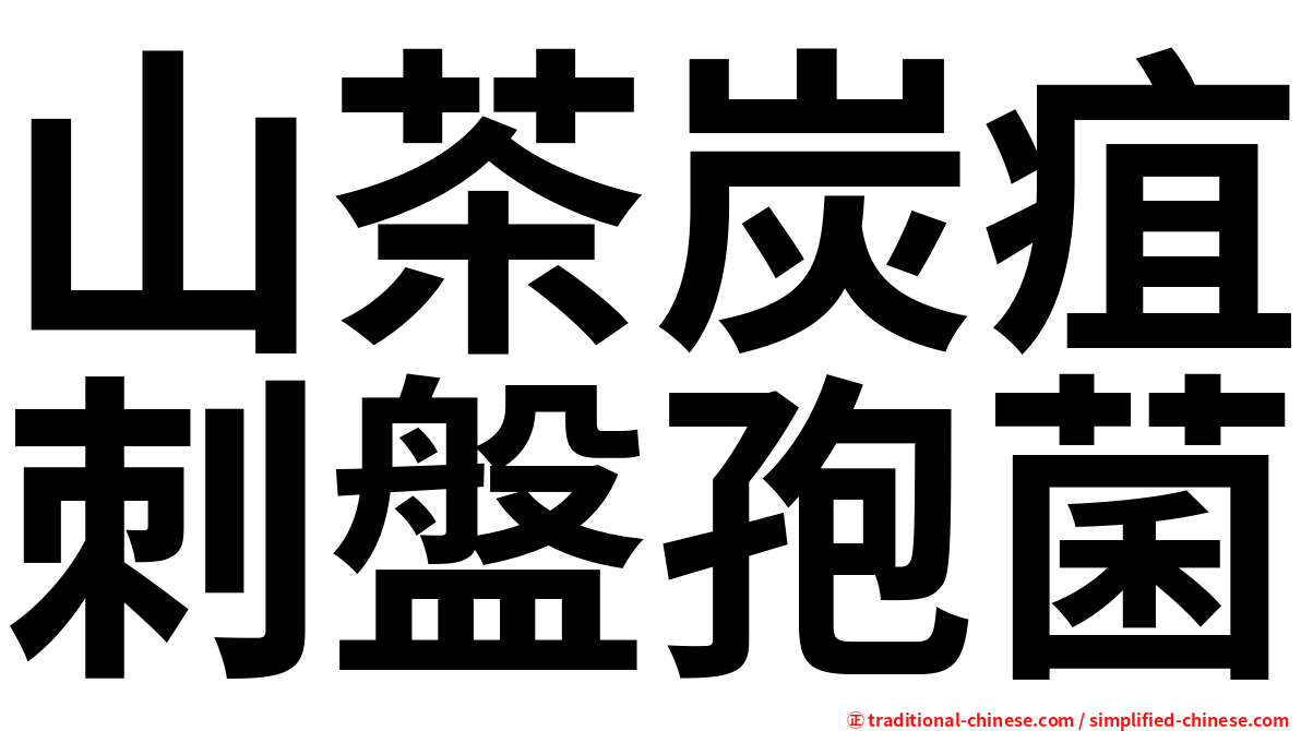 山茶炭疽刺盤孢菌