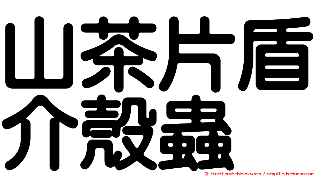 山茶片盾介殼蟲