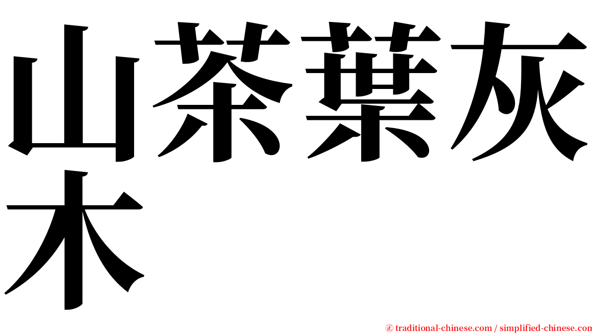 山茶葉灰木 serif font