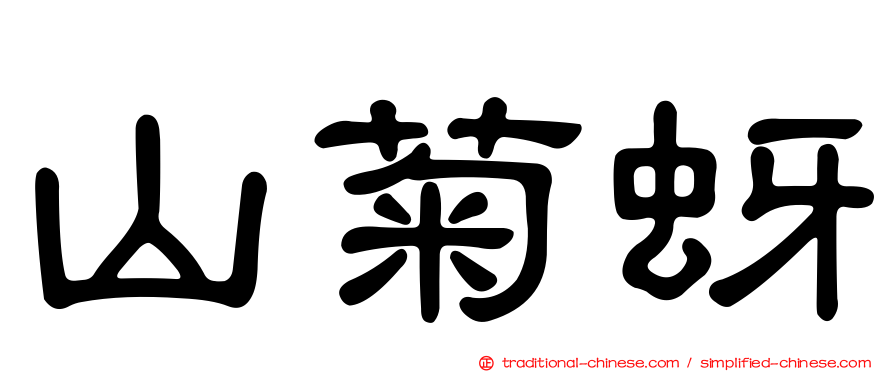 山菊蚜