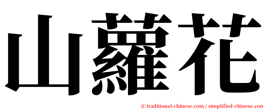 山蘿花 serif font