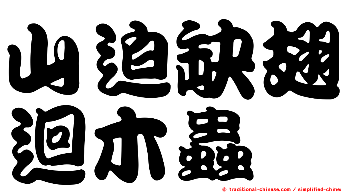 山迫缺翅迴木蟲