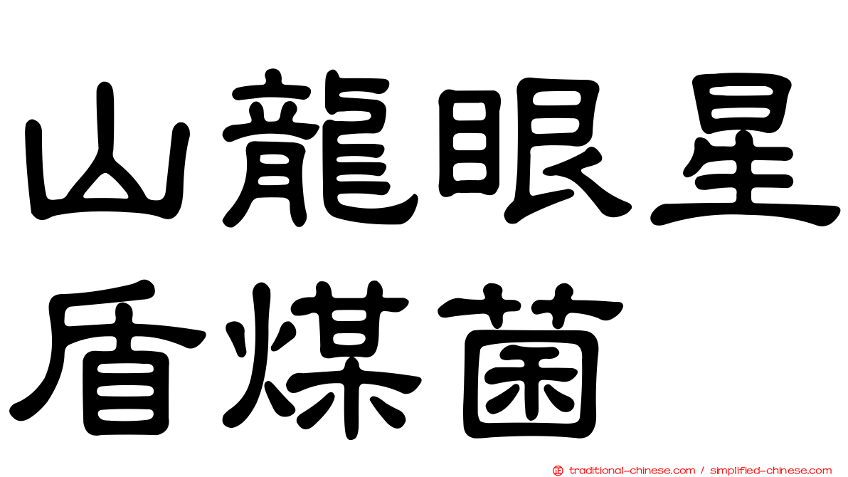 山龍眼星盾煤菌