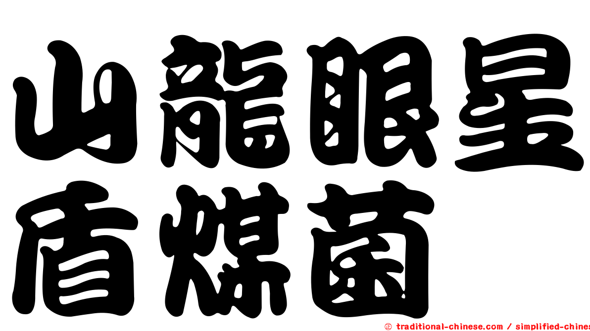 山龍眼星盾煤菌