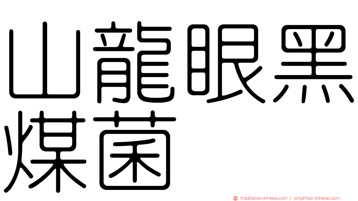 山龍眼黑煤菌