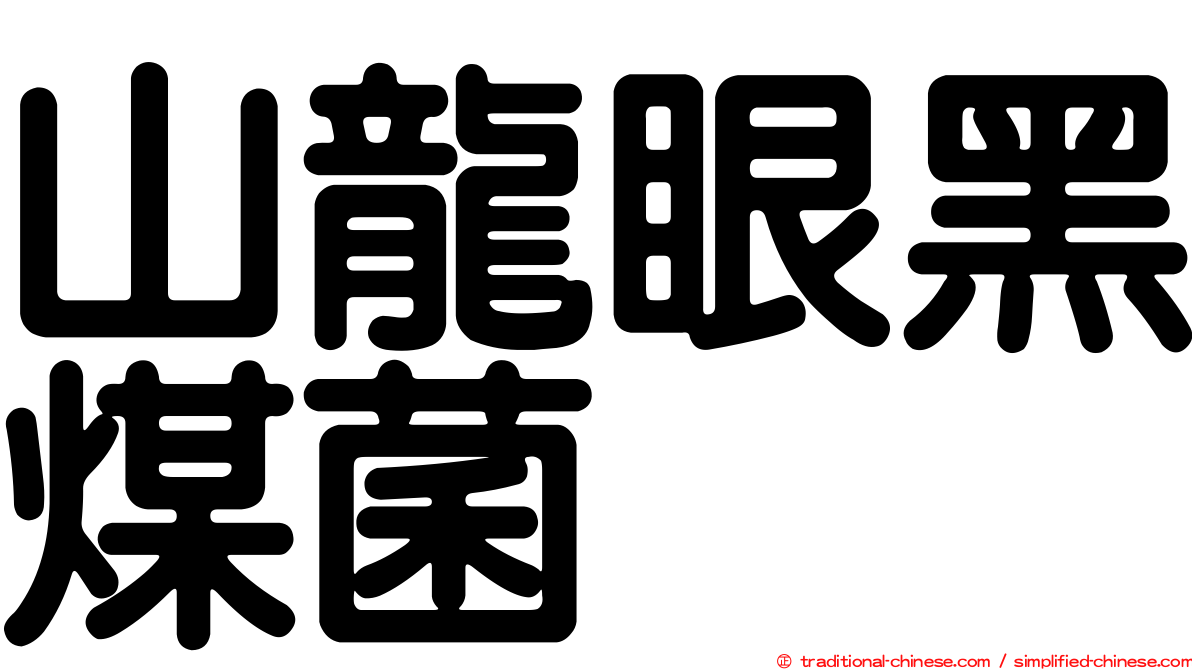 山龍眼黑煤菌