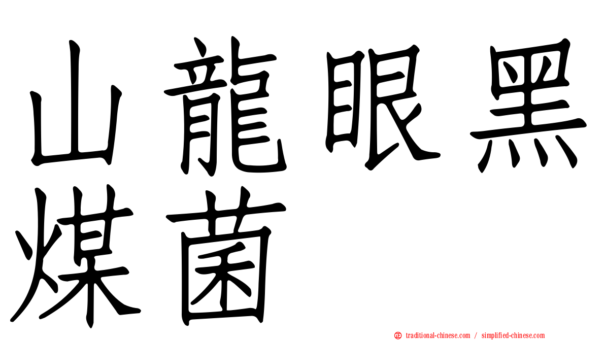 山龍眼黑煤菌