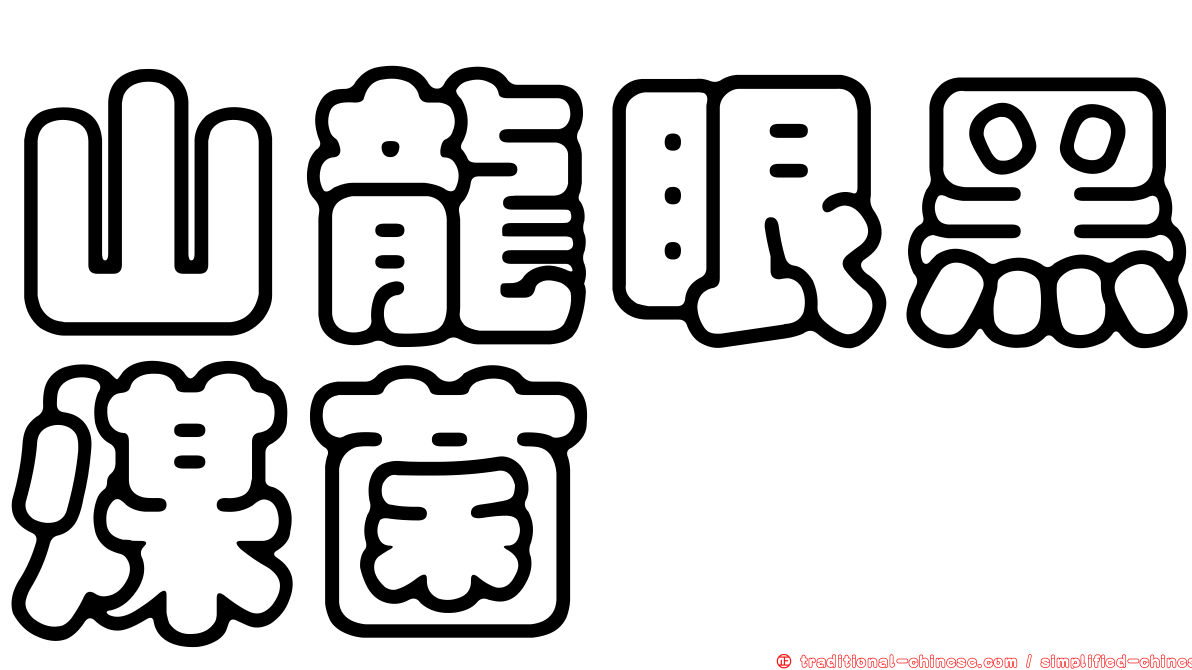 山龍眼黑煤菌