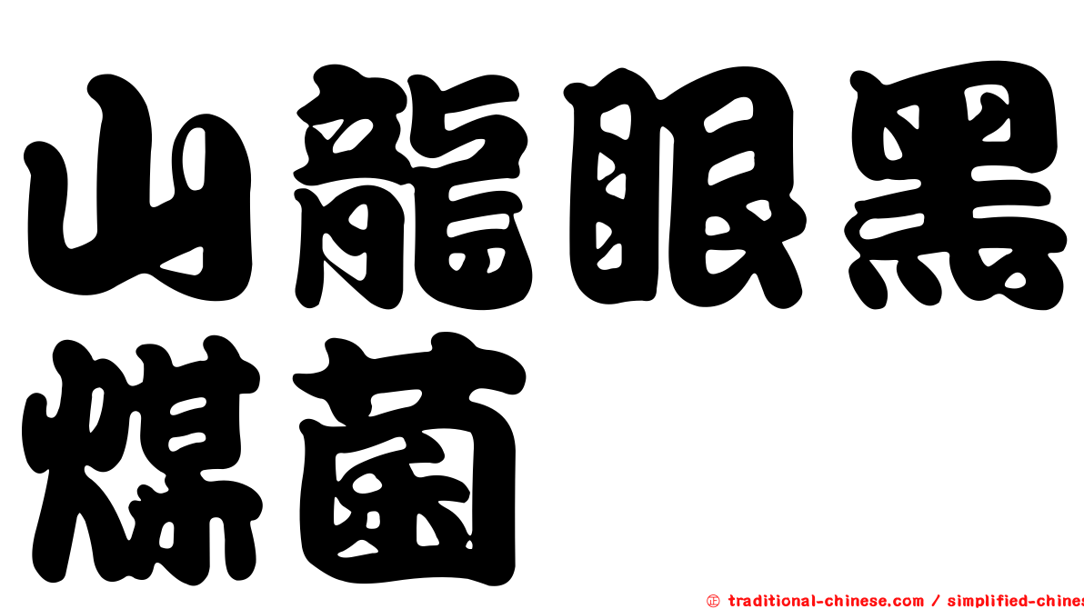 山龍眼黑煤菌