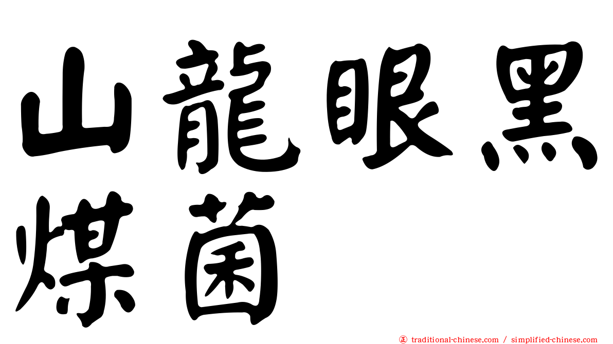 山龍眼黑煤菌