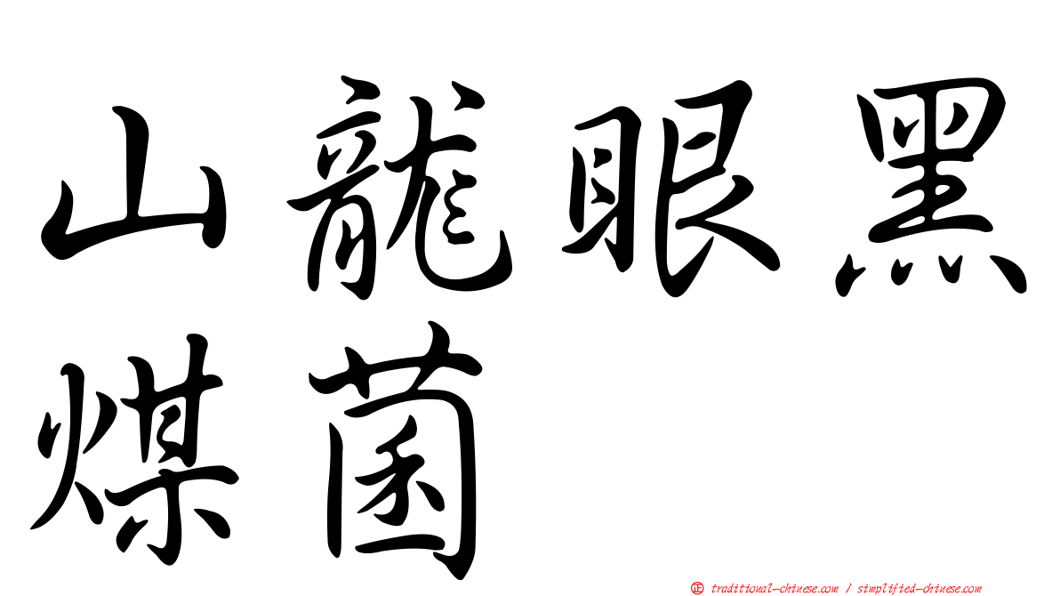 山龍眼黑煤菌