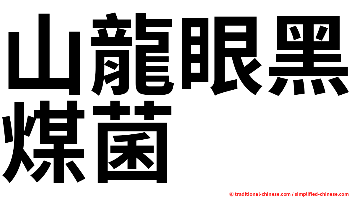山龍眼黑煤菌