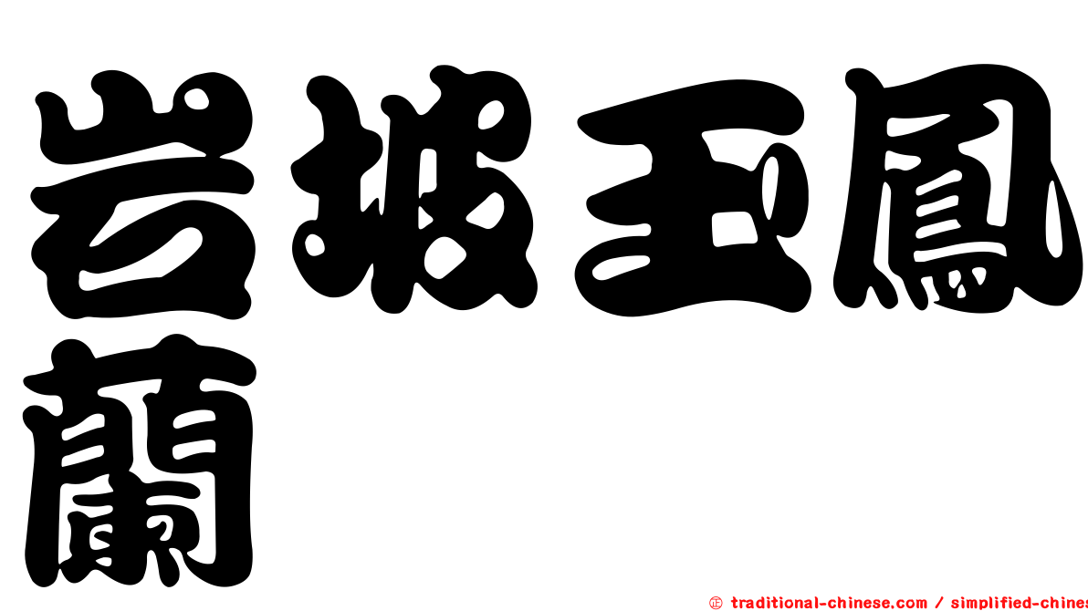 岩坡玉鳳蘭