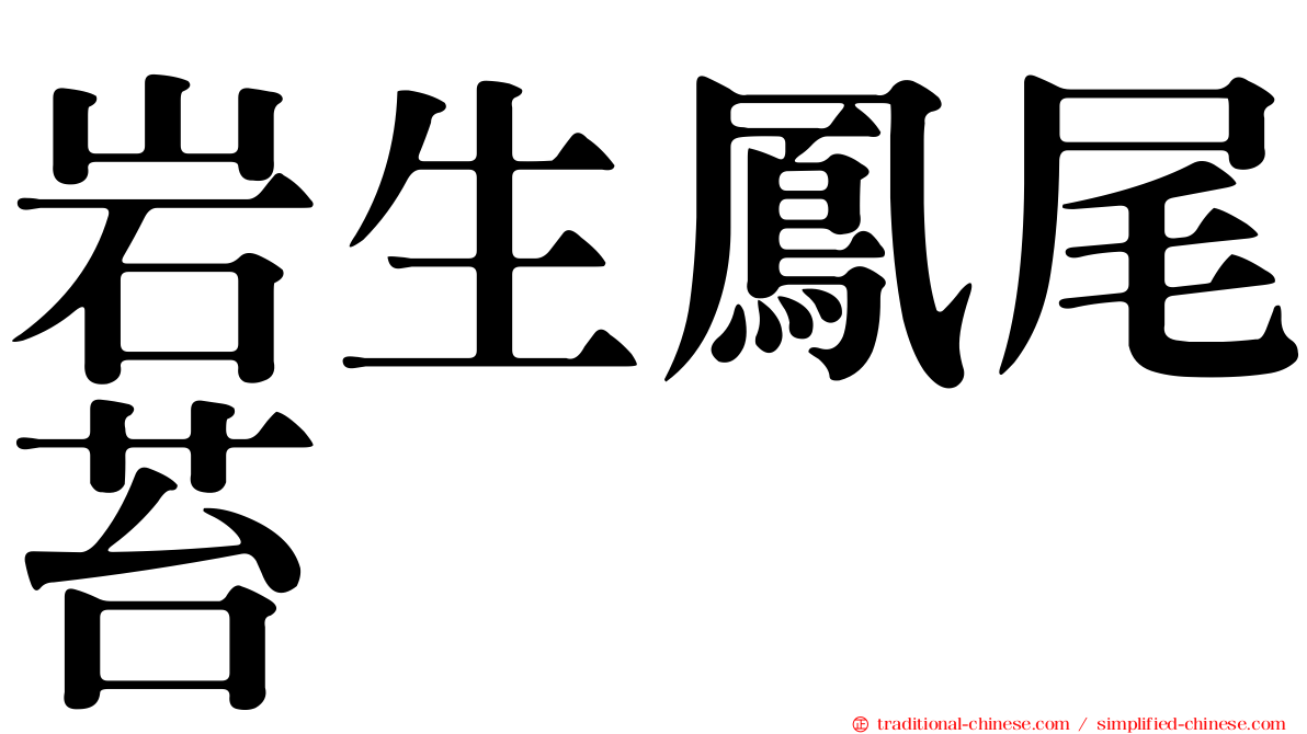 岩生鳳尾苔