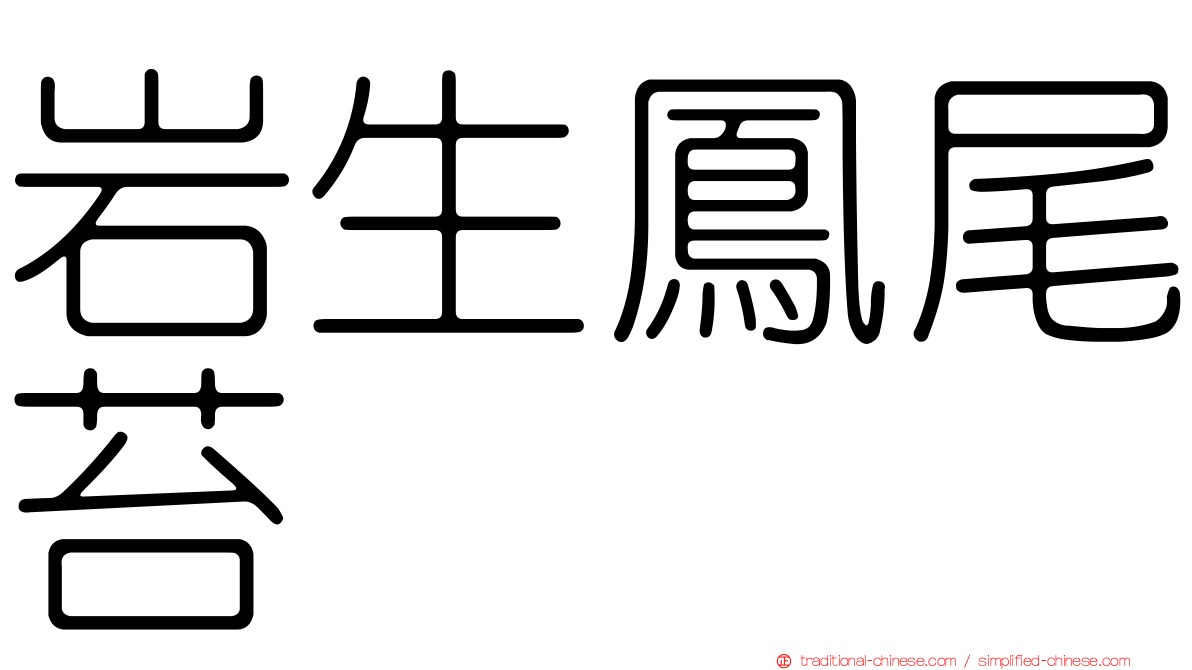 岩生鳳尾苔