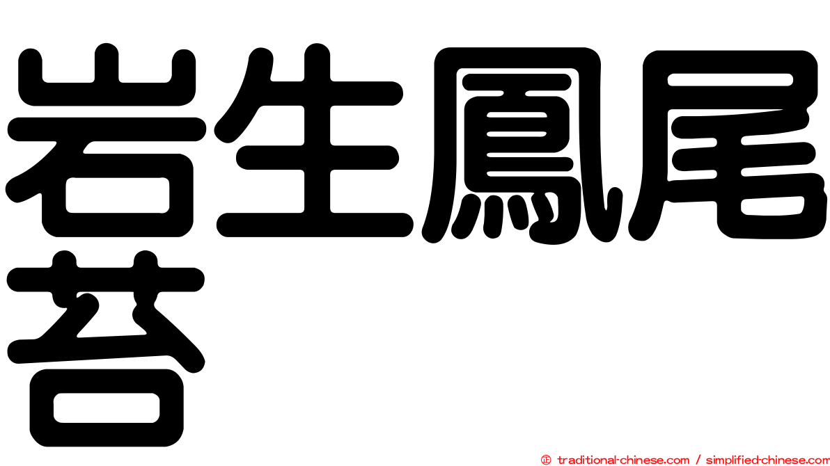 岩生鳳尾苔