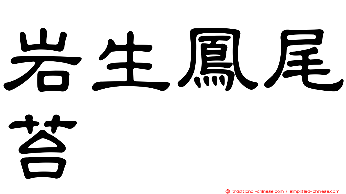 岩生鳳尾苔
