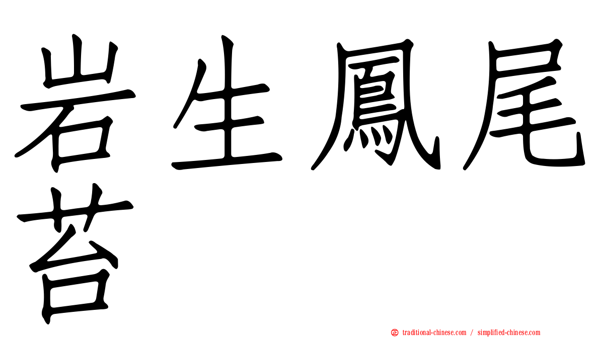 岩生鳳尾苔