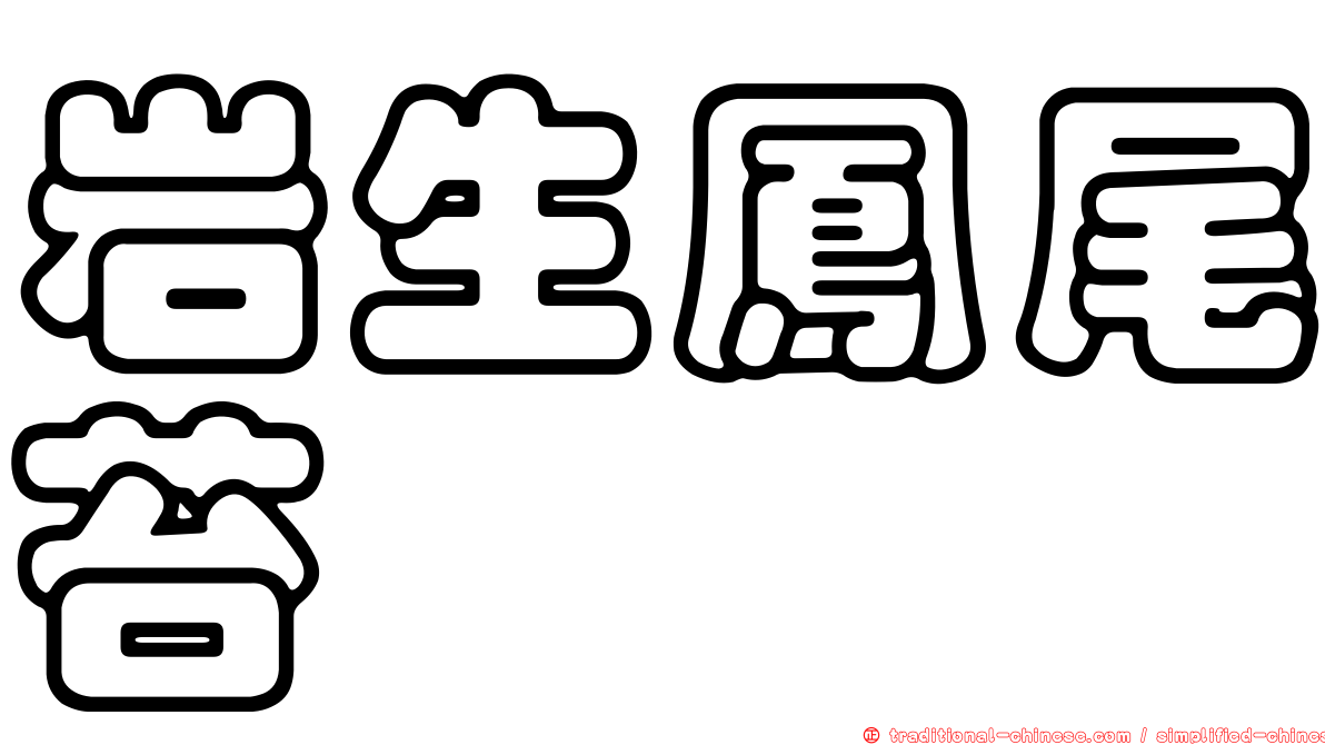 岩生鳳尾苔