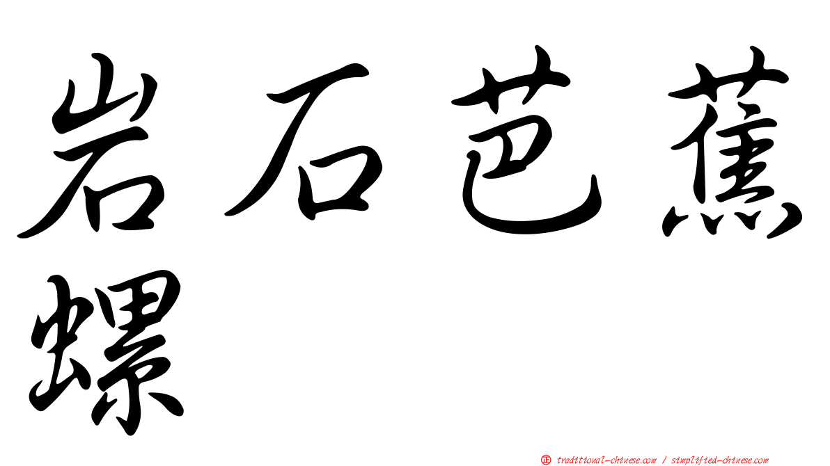 岩石芭蕉螺