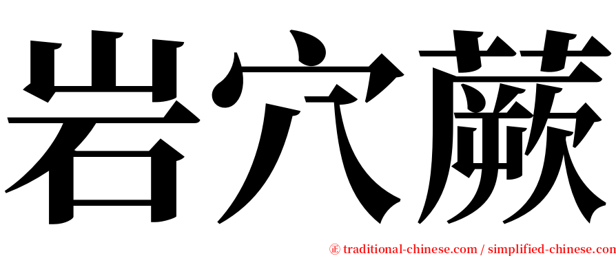 岩穴蕨 serif font