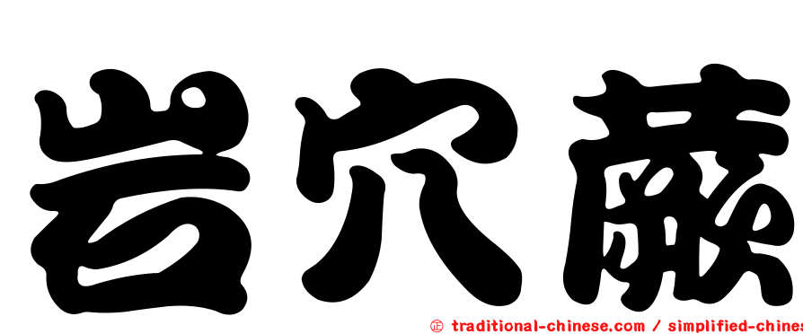 岩穴蕨