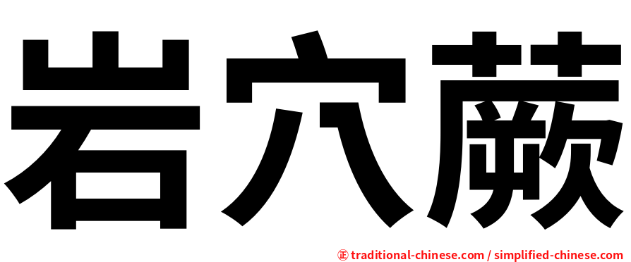 岩穴蕨