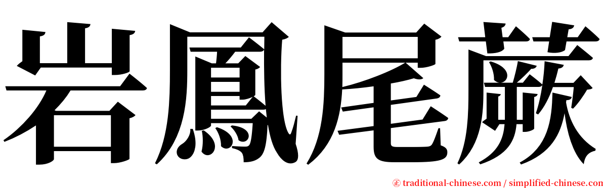 岩鳳尾蕨 serif font