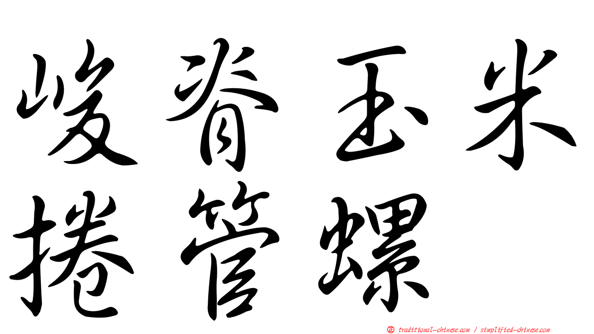 峻脊玉米捲管螺
