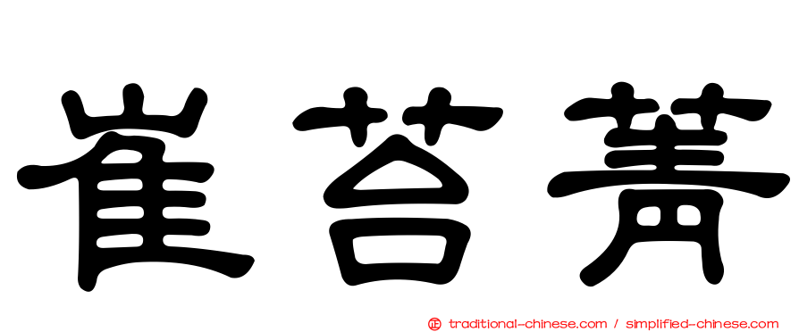 崔苔菁