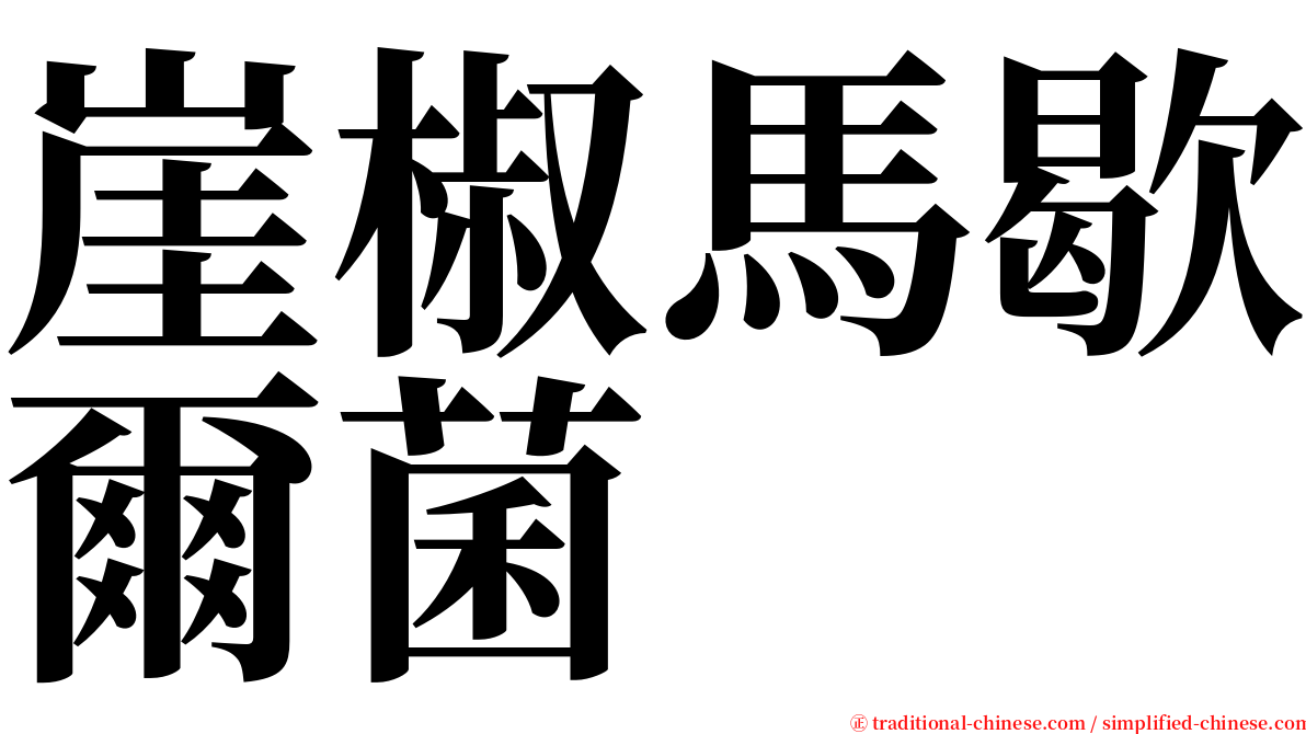 崖椒馬歇爾菌 serif font
