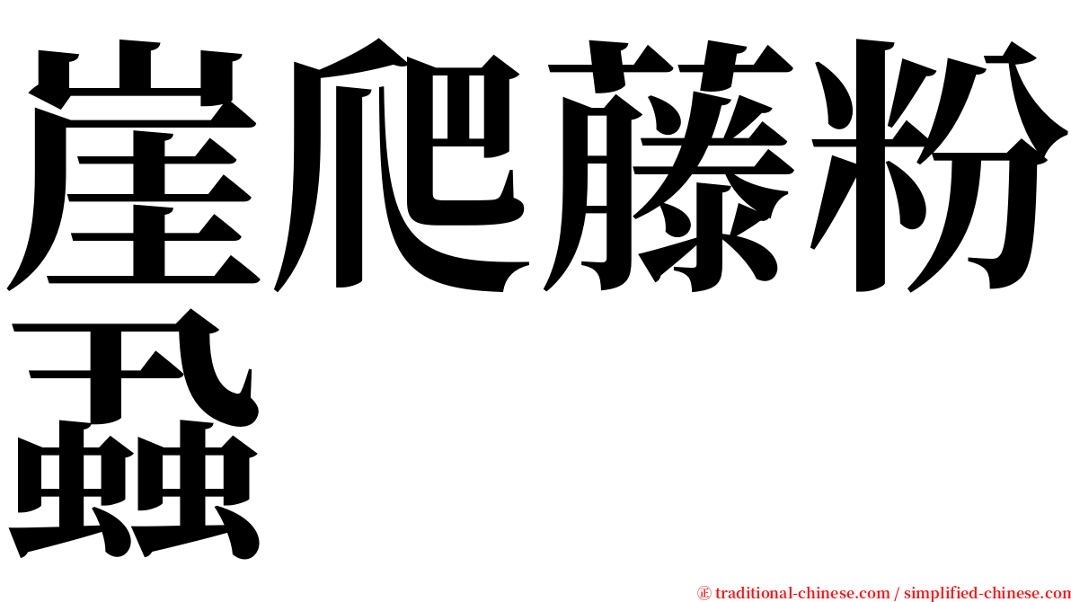 崖爬藤粉蝨 serif font