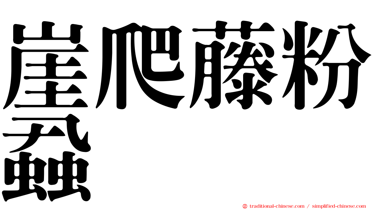 崖爬藤粉蝨