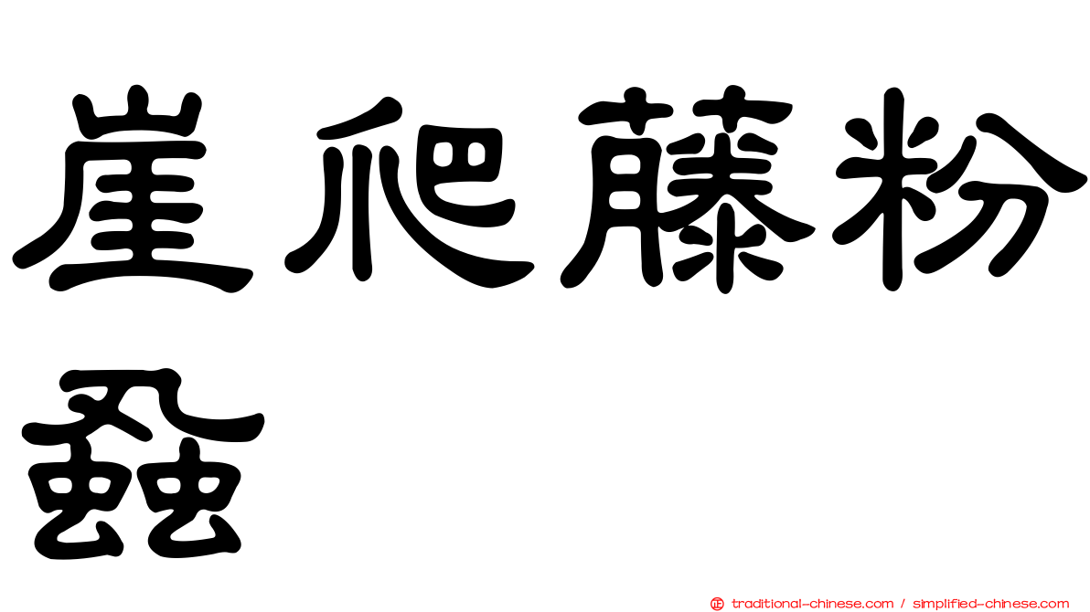崖爬藤粉蝨