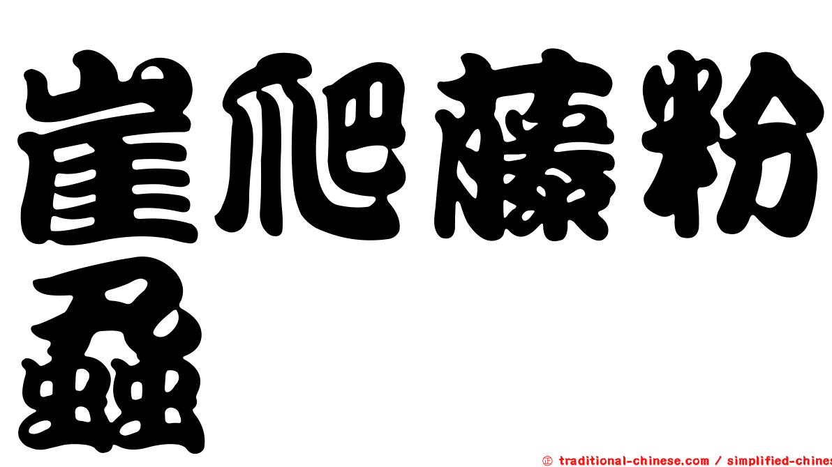 崖爬藤粉蝨