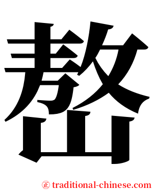 嶅 serif font