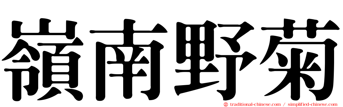 嶺南野菊