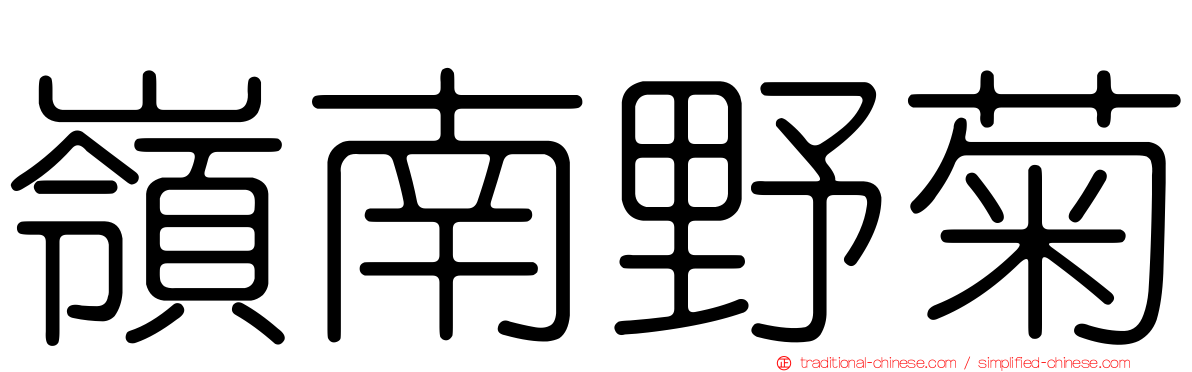 嶺南野菊